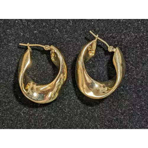 14k Earrings freeform 2.4g