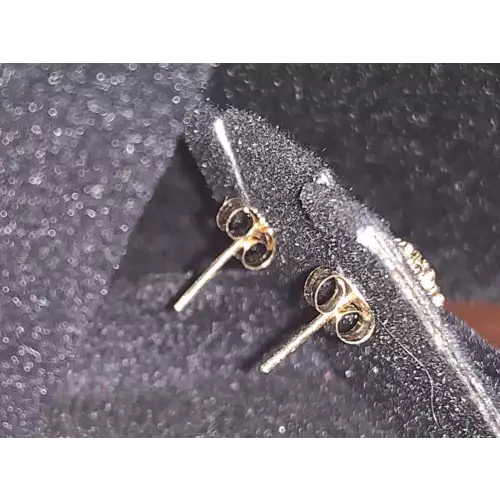 14K YG Earrings Diamond Star Chocolate center 1/4 CTW 1.2g (4)