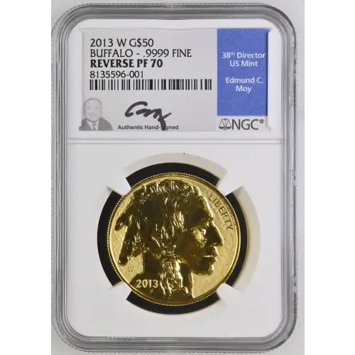 2013 BUFFALO - .9999 FINE (2)