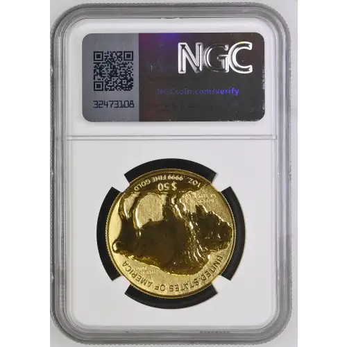 2013 BUFFALO - .9999 FINE (3)