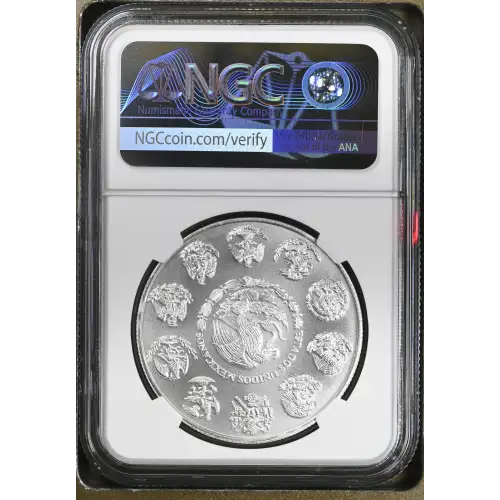 2013Mo Silver (3)