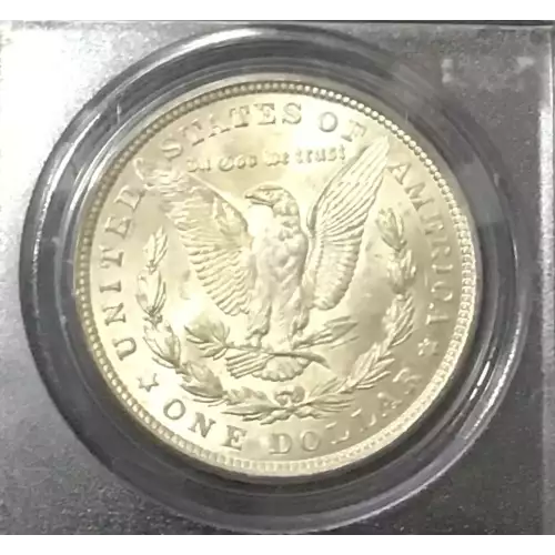 Morgan Silver Dollar