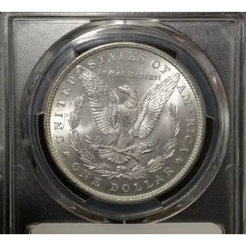 Morgan Silver Dollar (2)