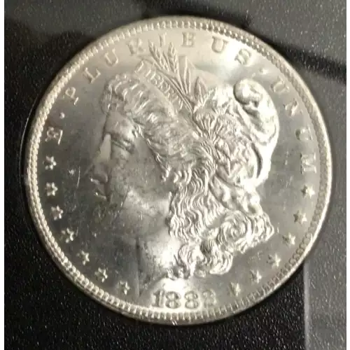 Morgan Silver Dollar