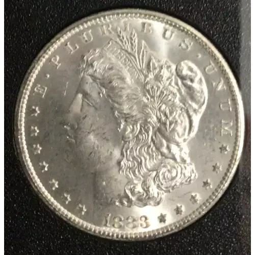 Morgan Silver Dollar (2)