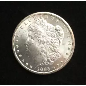 Morgan Silver Dollar