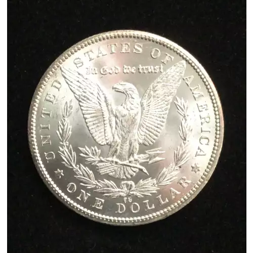 Morgan Silver Dollar (2)