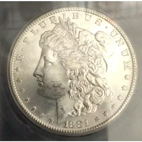 Morgan Silver Dollar (2)