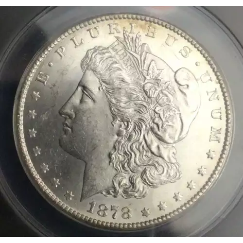 Morgan Silver Dollar (2)