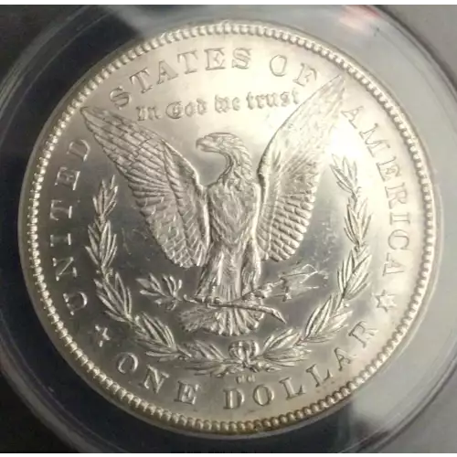 Morgan Silver Dollar