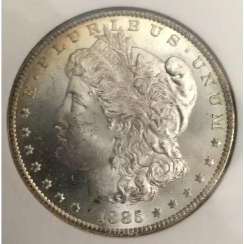 Morgan Silver Dollar (2)