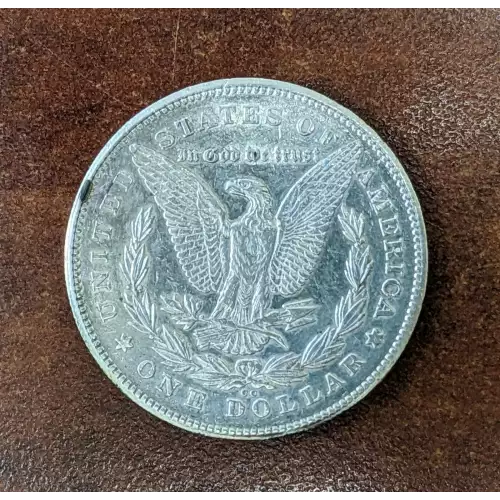 Morgan Silver Dollar (2)