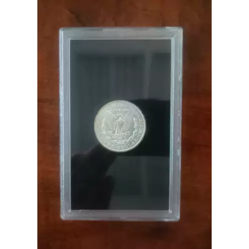 Morgan Silver Dollar (2)