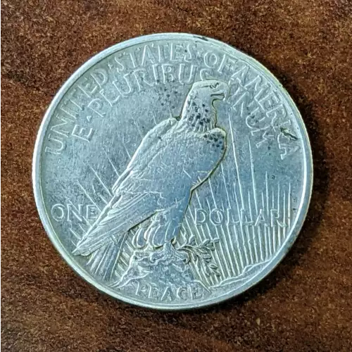 Peace Silver Dollar (2)